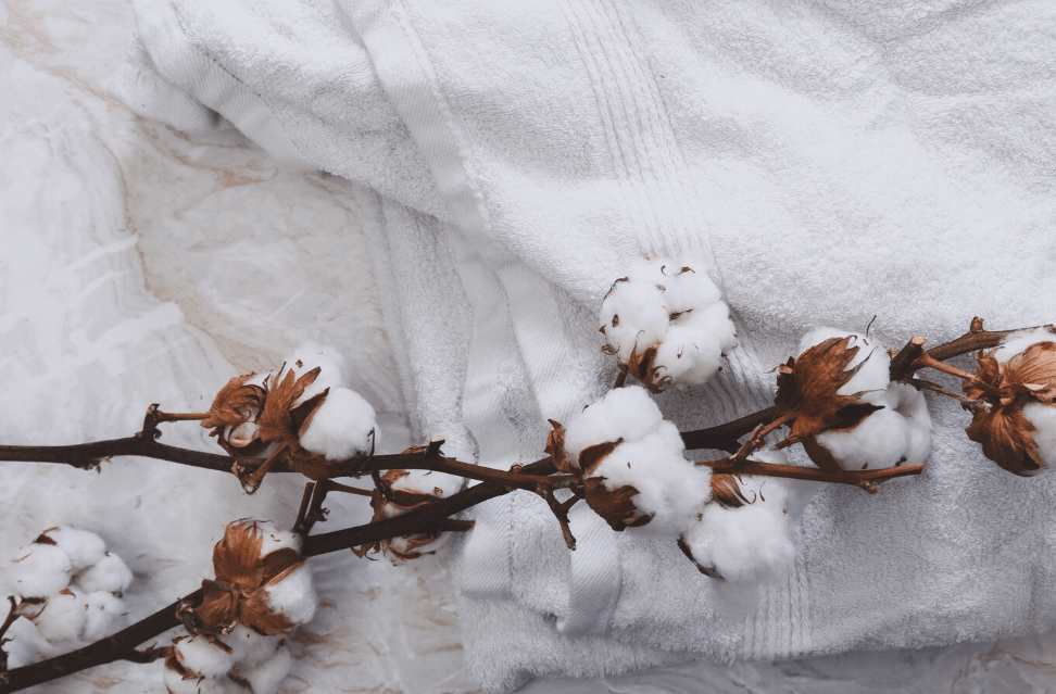 Is 100% Cotton T-Shirt Good? Exploring the Top 10 Benefits